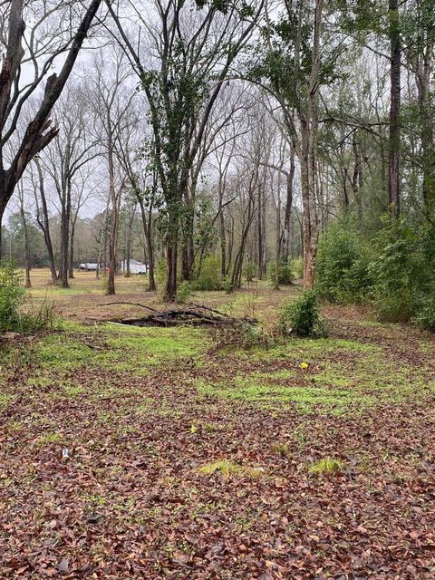 Vacant Land For Sale - 00 Cochran Street<br/> Shepherd, TX 77371