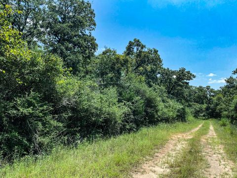 Photo of 10 Ranch Road Dr Drive, Normangee, TX 77871 (MLS # 49316255) Photo of 10 Ranch Road Dr Drive, Normangee, TX 77871 (MLS # 49316255)