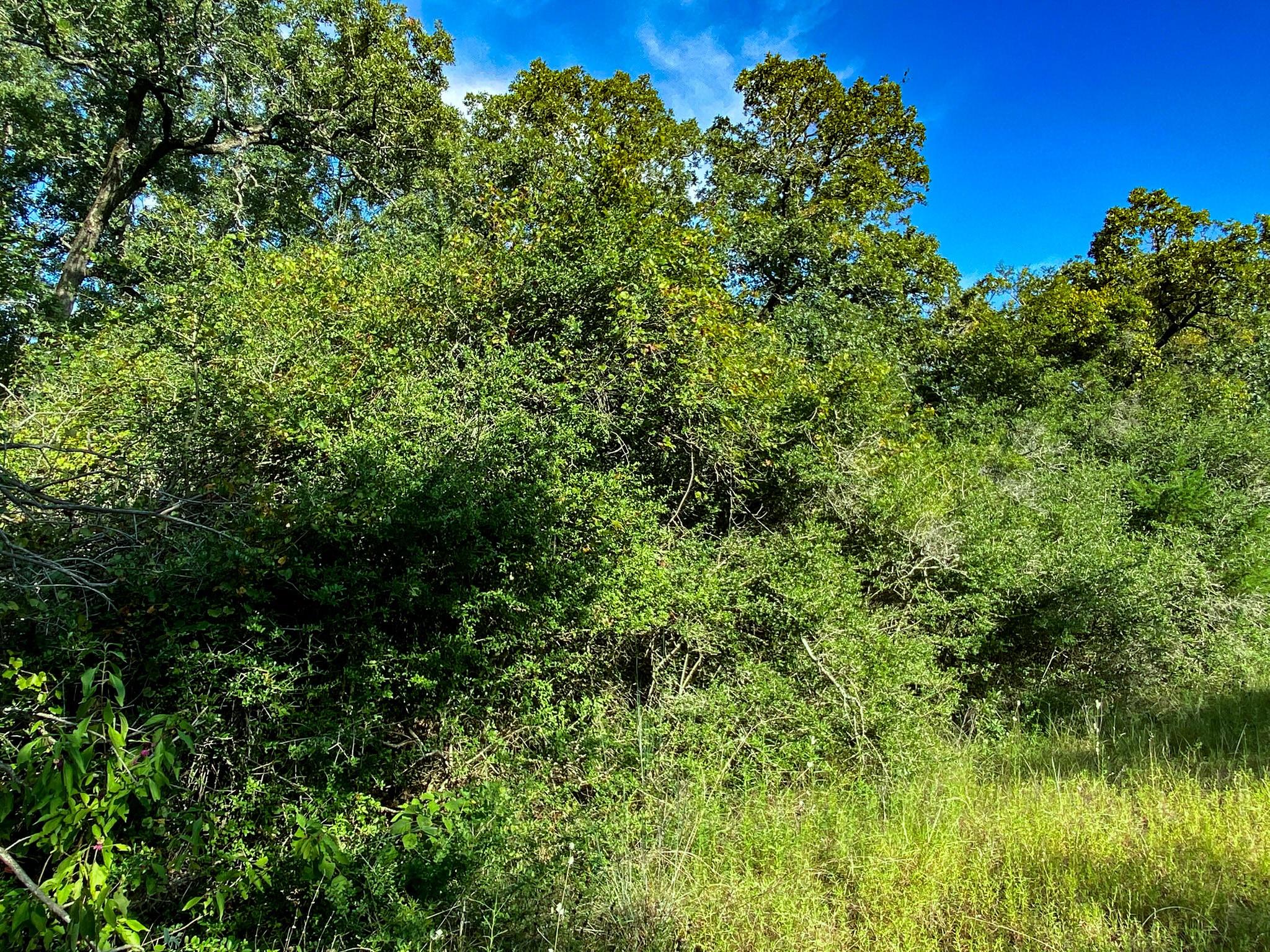 Lot 10 Ranch Road Dr Drive