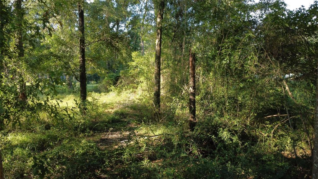 Photo of 0 Spanish Oaks Dr, New Caney, TX 77357 (MLS # 60121390)