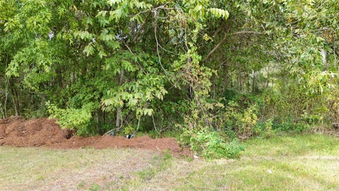Photo of TBD Alston, Livingston, TX 77351 (MLS # 91008327)