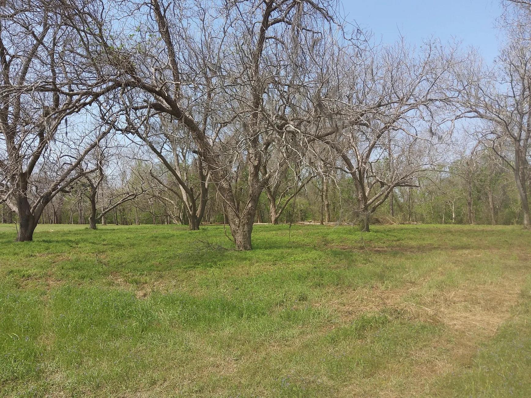 Lot 1 Fm 521