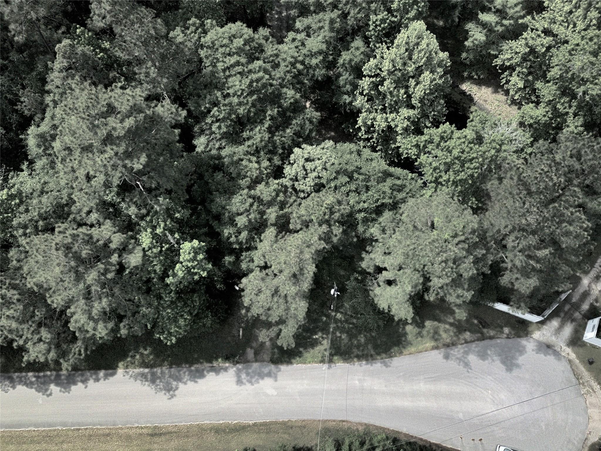 10303 Pecan Hollow Road