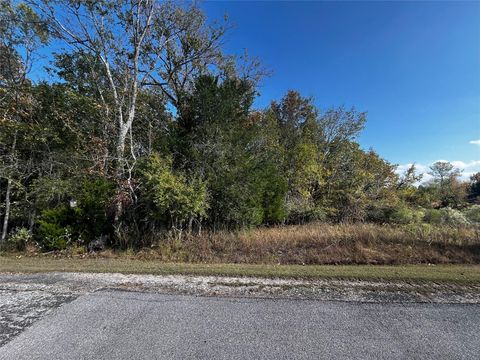 Photo of 165 N Pine Harbour Drive, Coldspring, TX 77331 (MLS # 60214445)