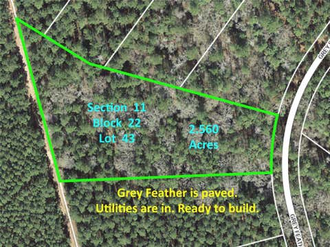 Vacant Land For Sale - 215 Grey Feather Road<br/> Walker County, Huntsville, TX 77340