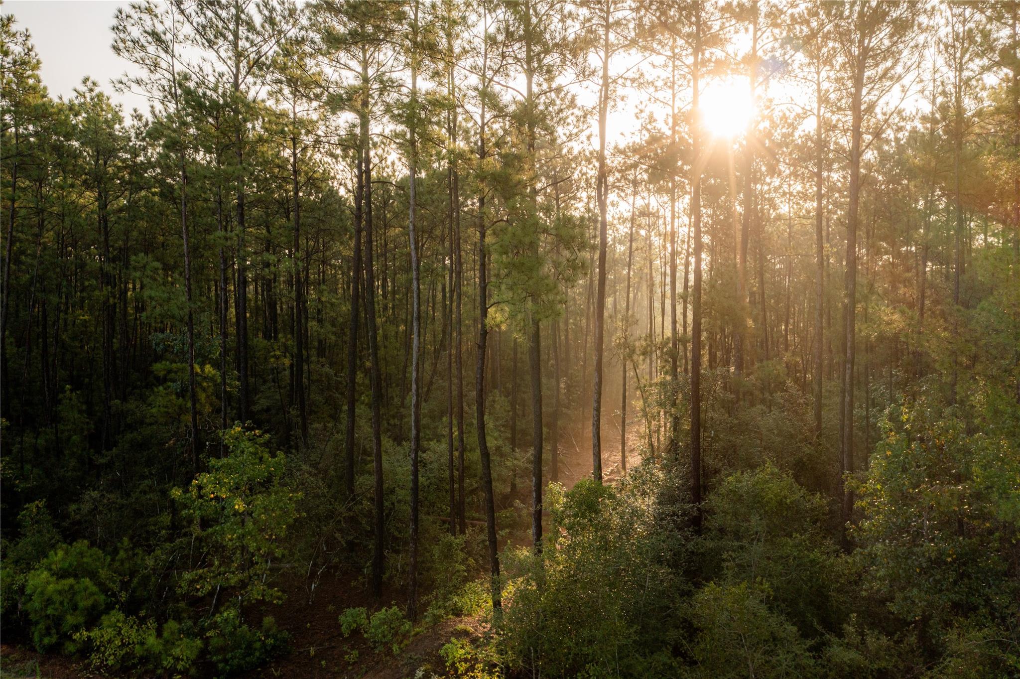 16072 Ridge Oak Road