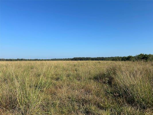 61 MINNIE DR, DAYTON, TX 77535 - Image a744335353dd96ef2aa9abd7115a8f4d/3523684524
