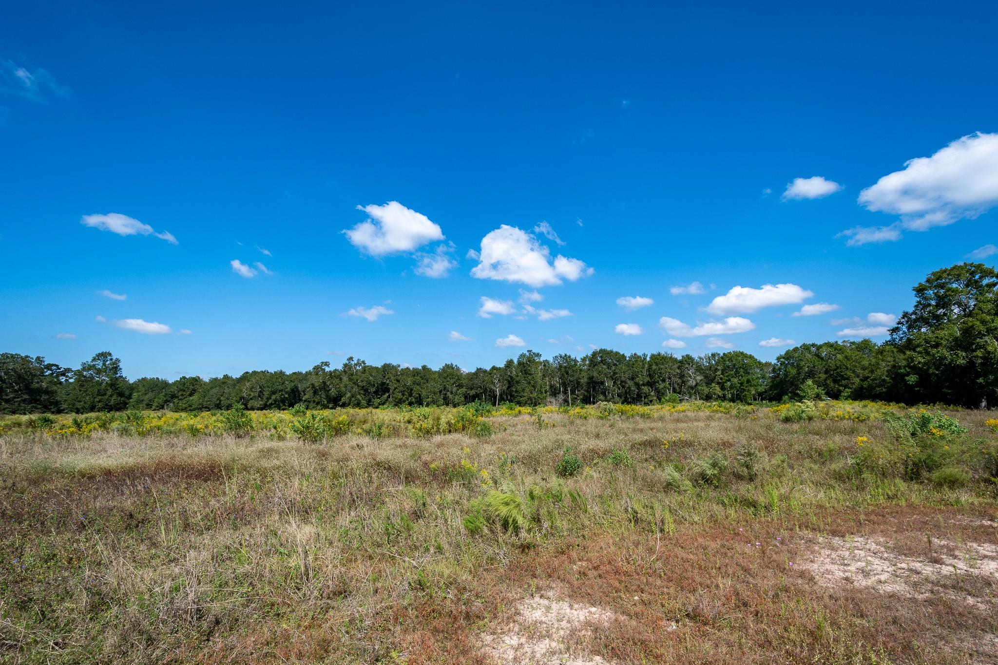 480 County Road 3310