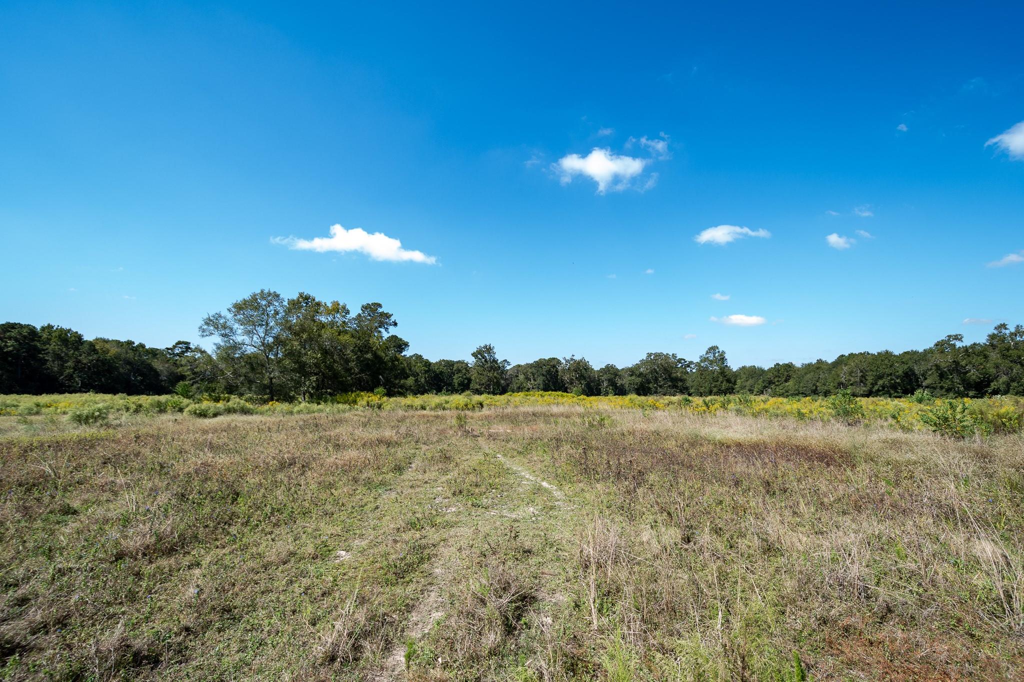 480 County Road 3310