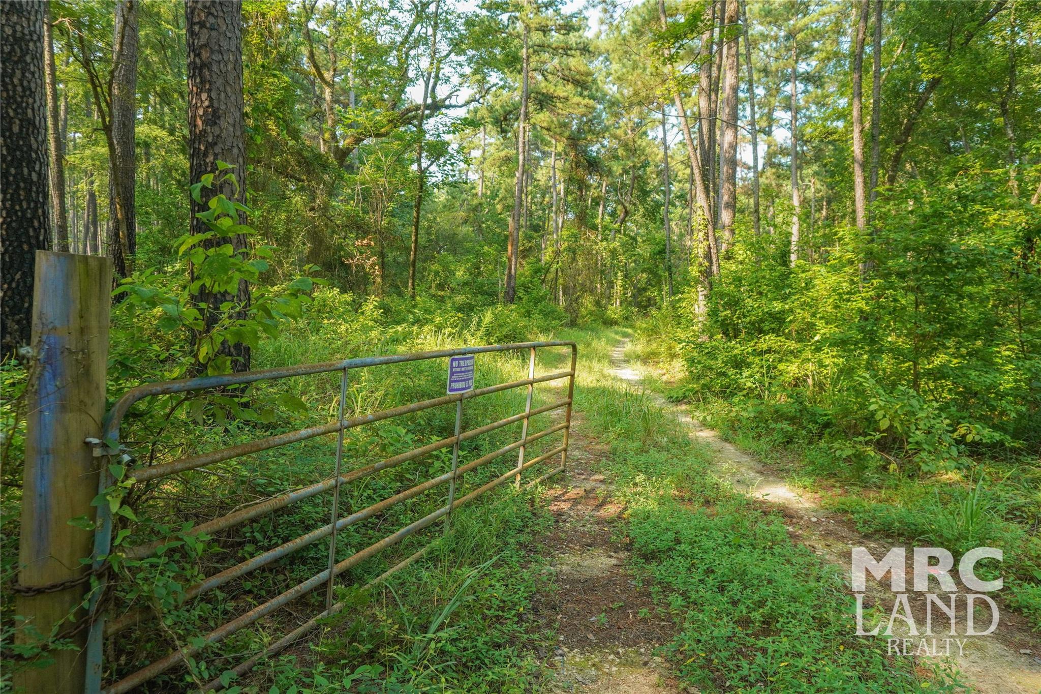 00 Forest Road 511