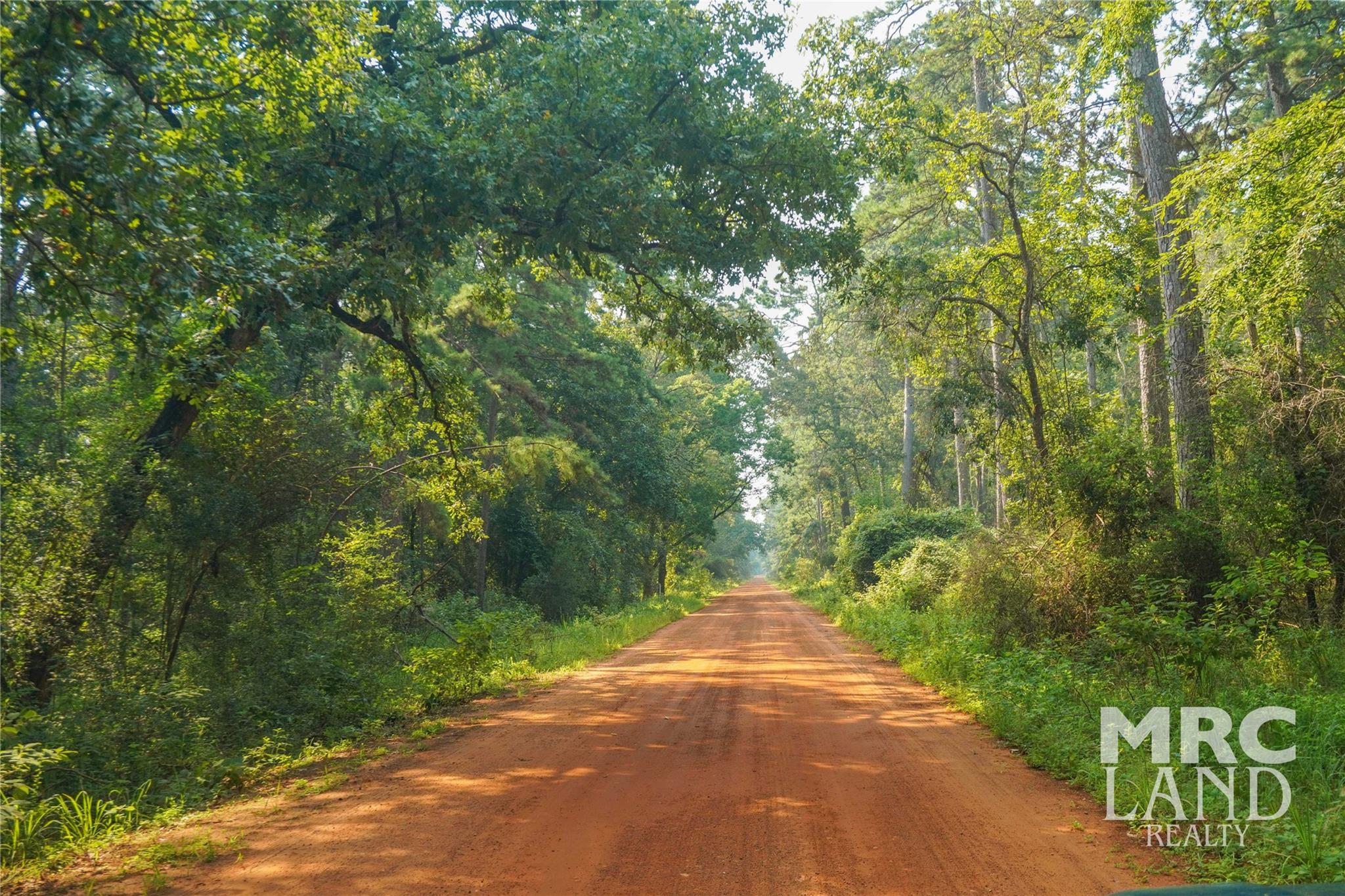 00 Forest Road 511