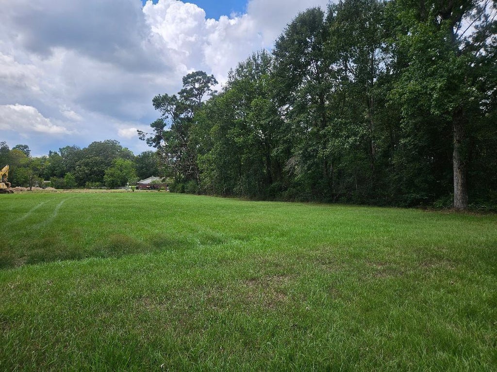 Photo of 19000 Monday Hargrove Rd, New Caney, TX 77357 (MLS # 13517397)