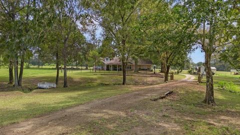 Photo of 249 Cr 350, Broaddus, TX 75929 (MLS # 77736984)