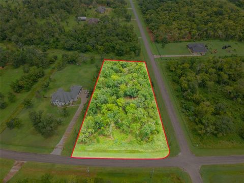 Photo of 3002 Bayou View Court, Richwood, TX 77515 (MLS # 5767237)