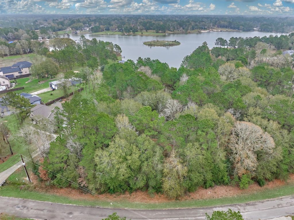 Photo of 19310 Cabango Drive, Porter, TX 77365 (MLS # 78285605)