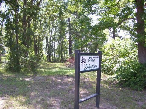 Photo of 136 Inlet Drive, Livingston, TX 77351 (MLS # 62472714)