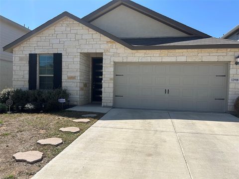 Homes For Sale - 12918 Irvin Path<br/> San Antonio, TX 78254