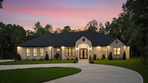 Photo of 7111 Lorna Road, Montgomery, TX 77316 (MLS # 28750287)