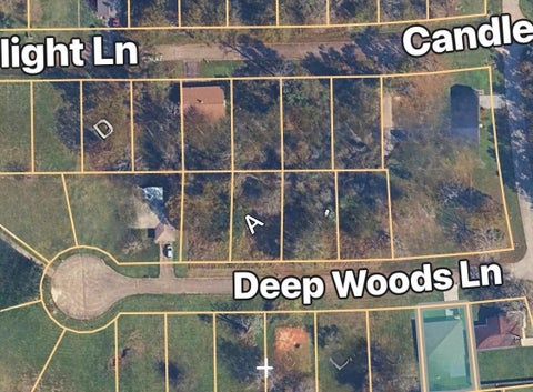 Photo of TBD Deep Woods Lane Lane, Livingston, TX 77351 (MLS # 47714419)