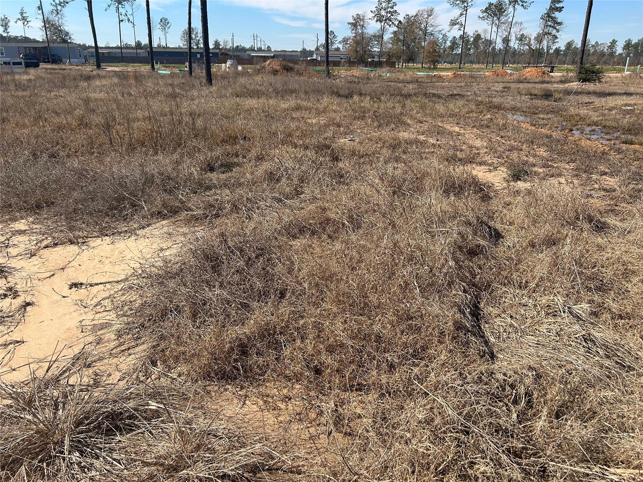 12228 Truchard Drive