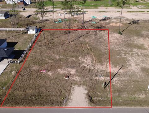 Photo of 12228 Truchard Drive Dr, Conroe, TX 77306 (MLS # 40347908)