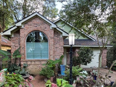 Photo of 26 N Rushwing Circle, The Woodlands, TX 77381 (MLS # 27035342)