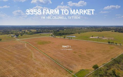 Photo of 3358 Fm 166 - 17 Acres, Caldwell, TX 77836 (MLS # 58284276) Photo of 3358 Fm 166 - 17 Acres, Caldwell, TX 77836 (MLS # 58284276)