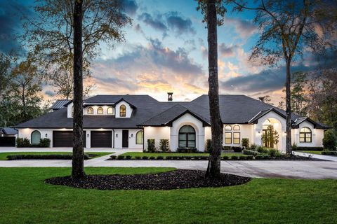 Photo of 15240 Saddlewood Drive, Conroe, TX 77384 (MLS # 48298473)