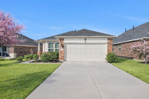 419 Terra Vista Circle Montgomery TX 77356
