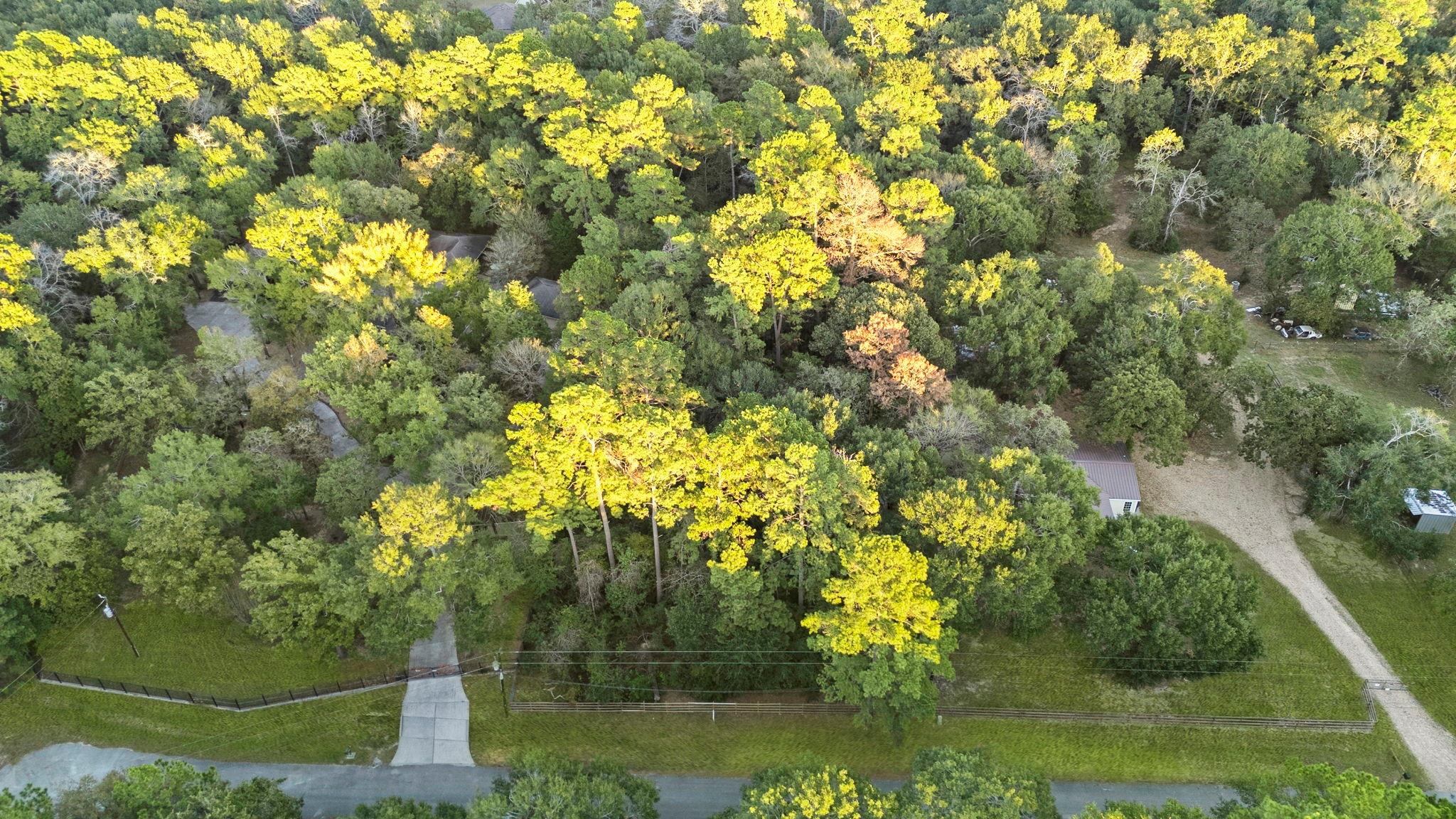 7349 Washington Avenue