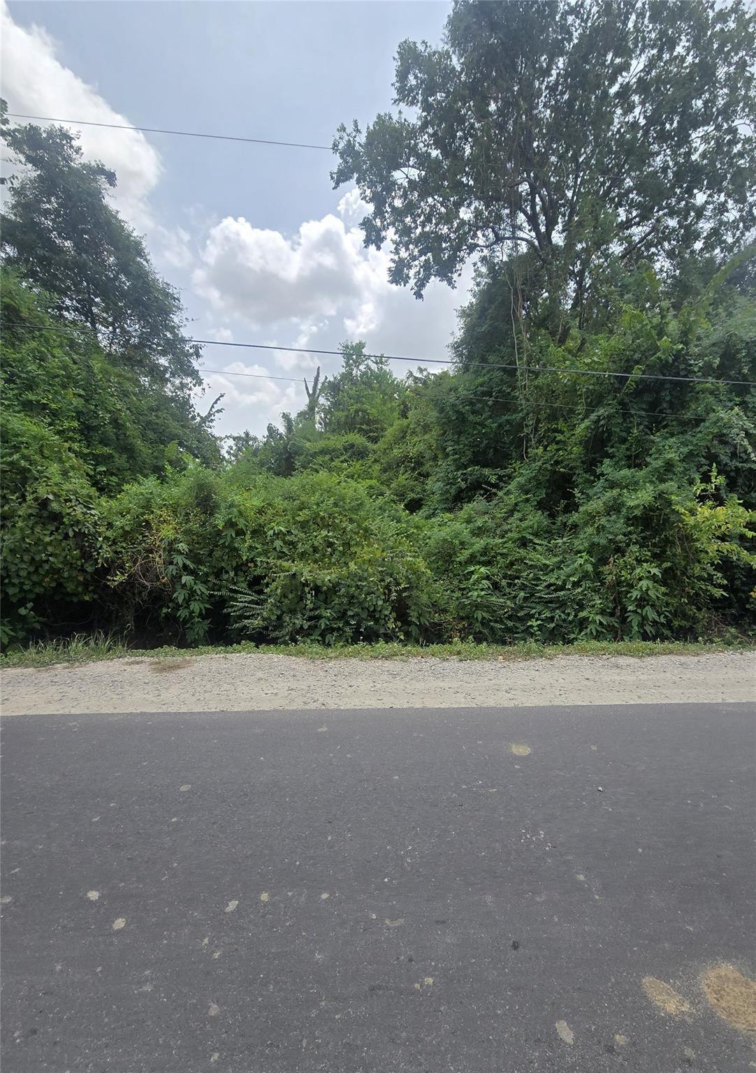 0 Forest Trail Drive