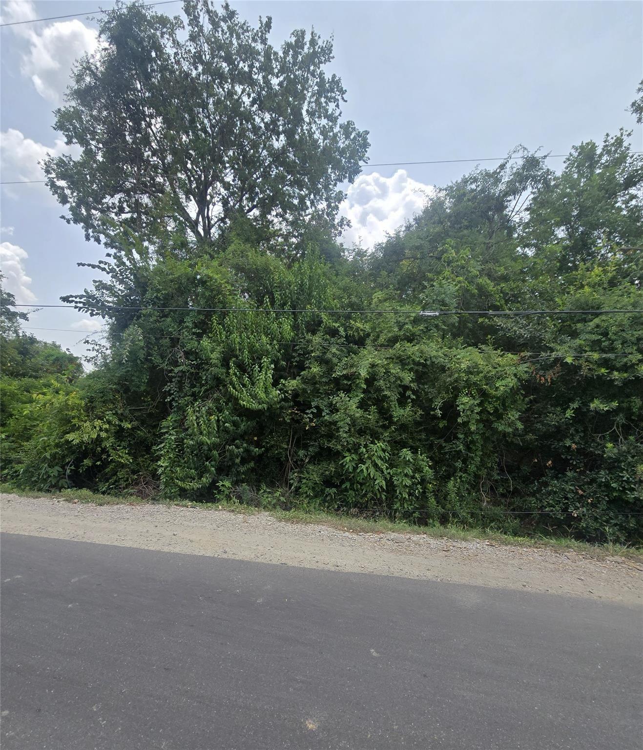 0 Forest Trail Drive