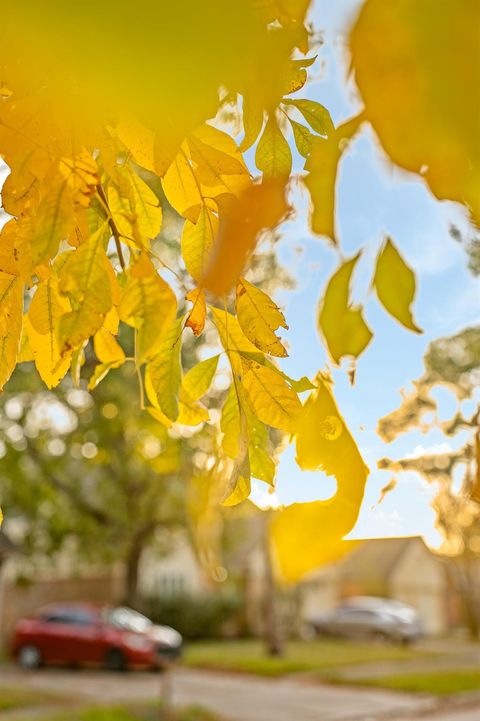 Tiny photo for 12007 Sharpcrest Street, Houston, TX 77072 (MLS # 6293299)