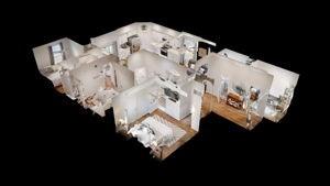 10921 Oriole Place