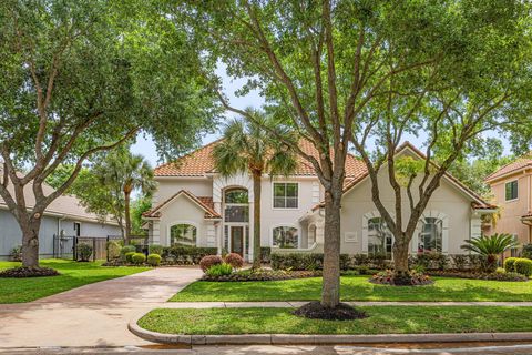 6435 Ivy Falls Missouri City TX 77459