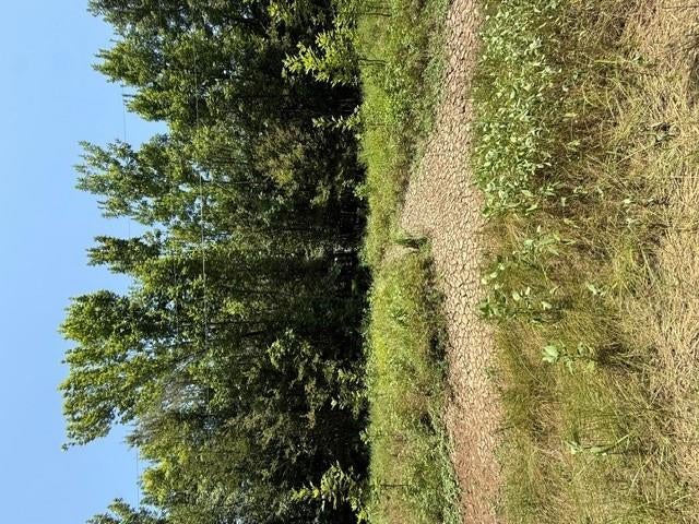 TBD Sunshine Acres