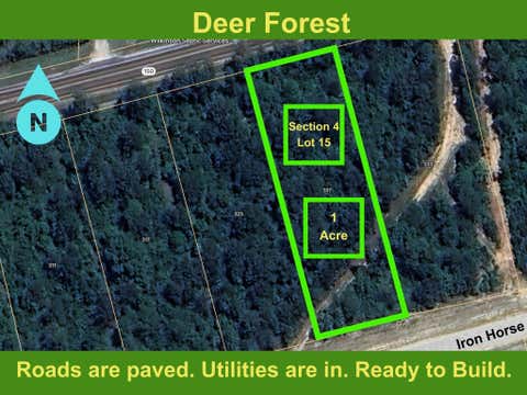 Vacant Land For Sale - 327 Iron Horse Road<br/> Walker County, Willis, TX 77378