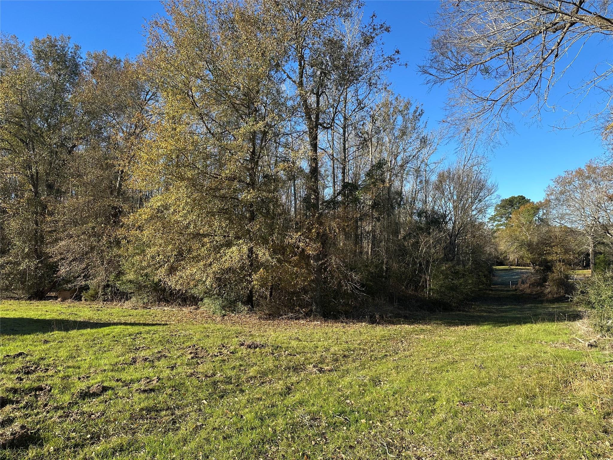 5604 County Road 364