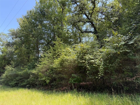 Photo of 16 Cr 321, Jewett, TX 75846 (MLS # 76719941)