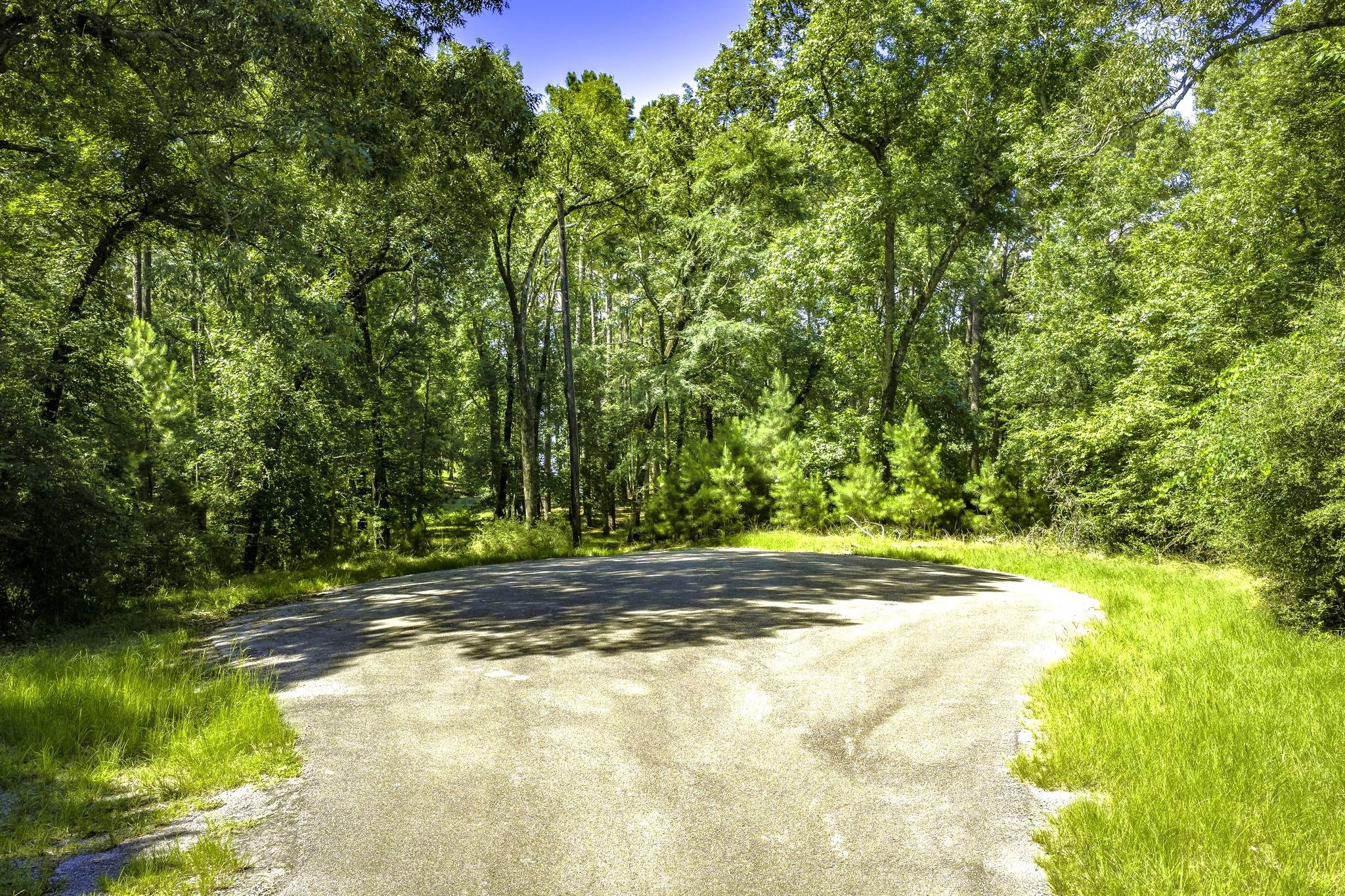 TBD Pine Circle