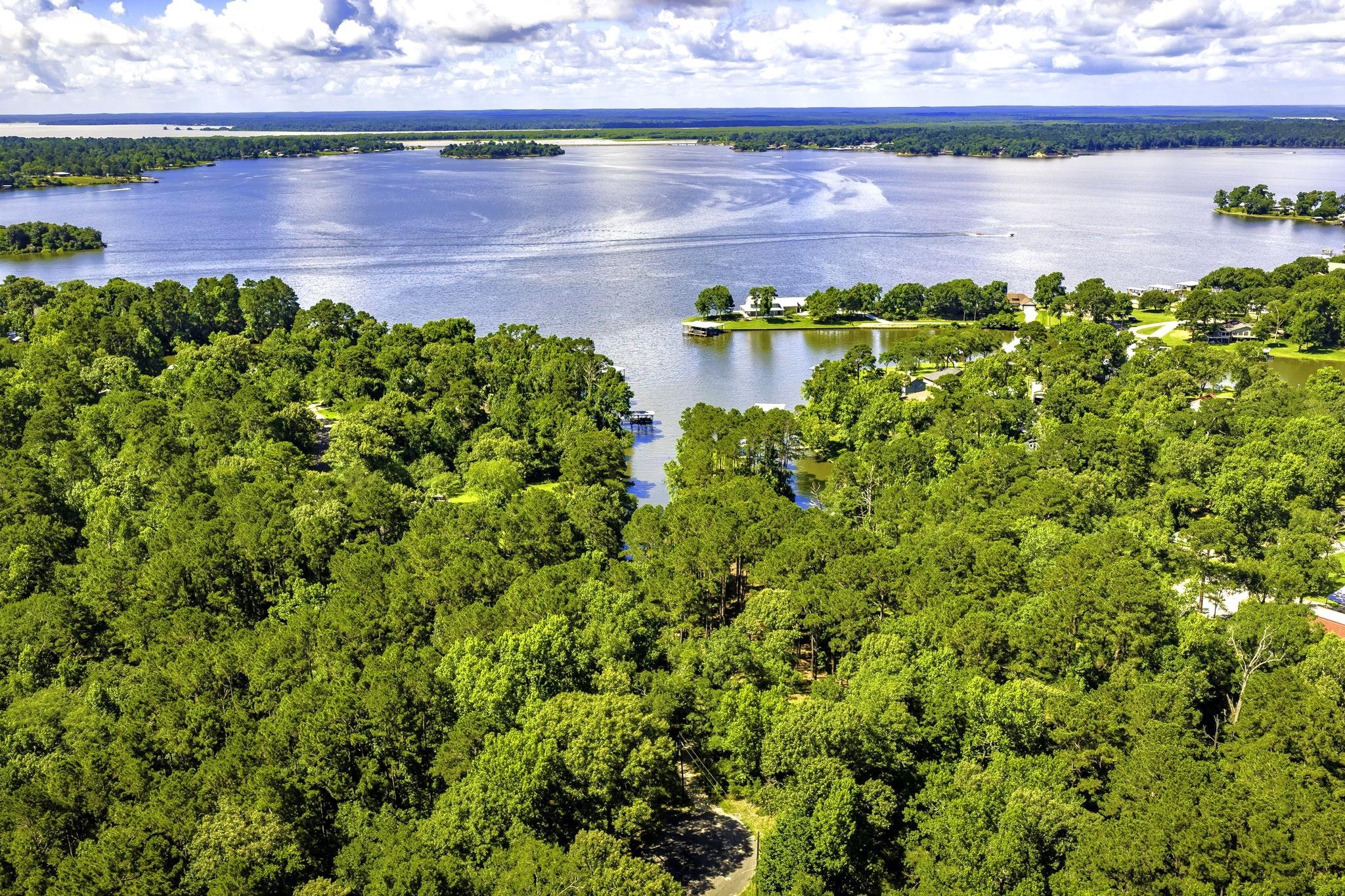 TBD Pine Circle