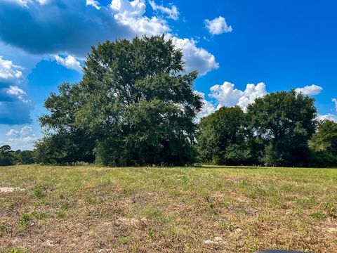 Vacant Land For Sale - 1957 County Road 155<br/> Bedias, TX 77831