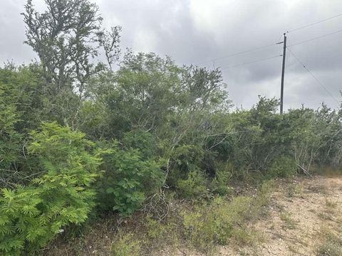 Vacant Land For Sale - County Road 187<br/> Jim Wells County, Alice, TX 78372
