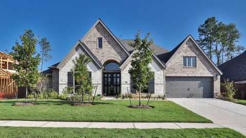 12592 Rosy Paintbrush Drive Conroe TX 77302