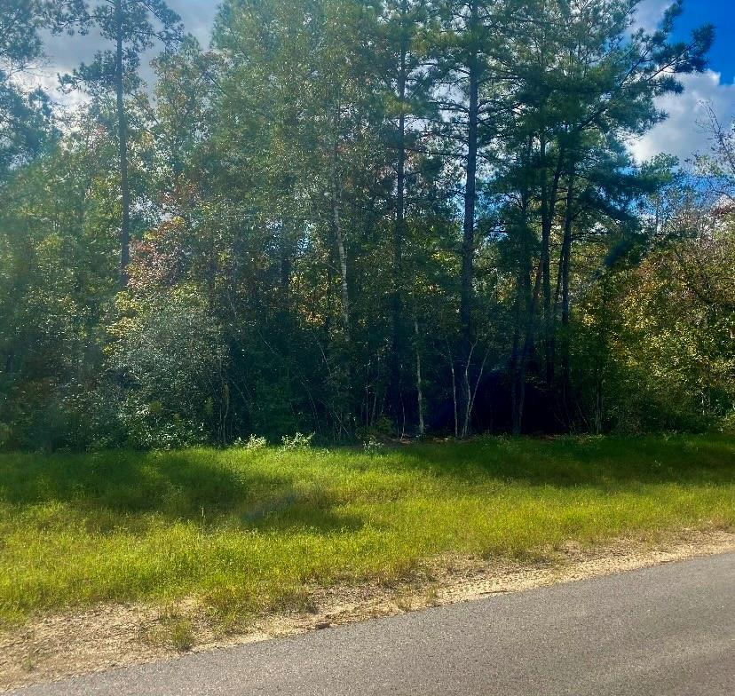 15629 Forest Knoll Road