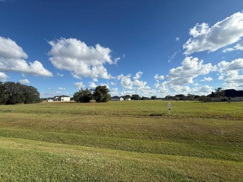 Photo of 914 Lily Lane, Rosharon, TX 77583 (MLS # 79928989)