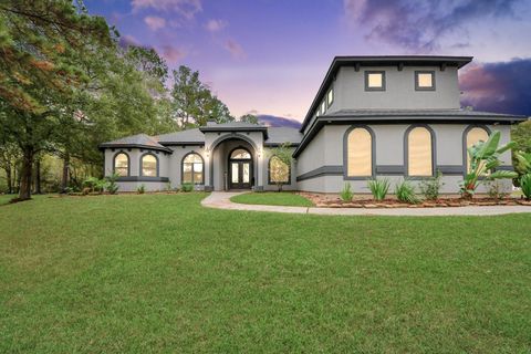 Photo of 18785 E Cool Breeze Lane, Montgomery, TX 77356 (MLS # 36691552)