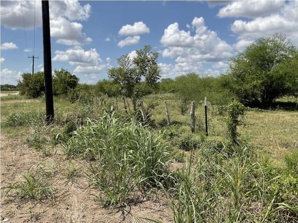 R16014 Navidad Street