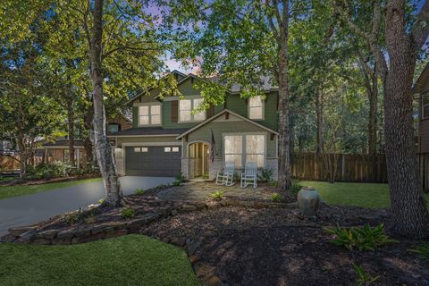 15 Forest Perch Place The Woodlands TX 77382