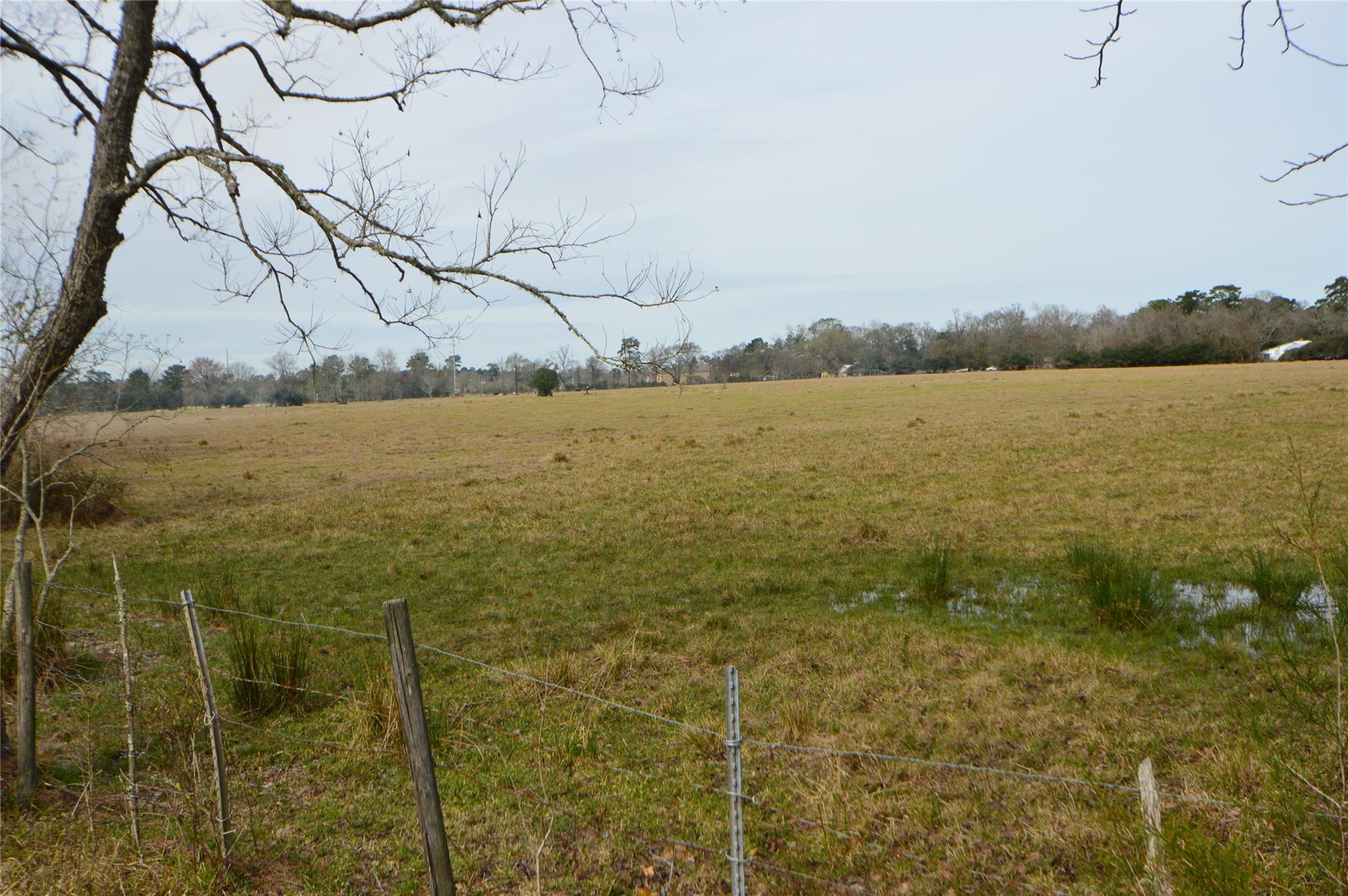 Photo 1 of 6 — TBD000 Wiggins, Conroe, TX 77302